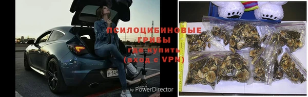 jwh Верея